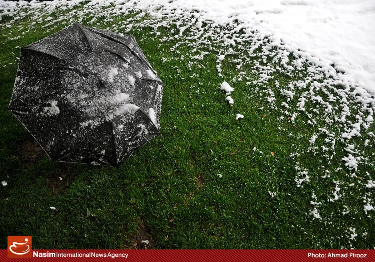 اخبار آرشیوی