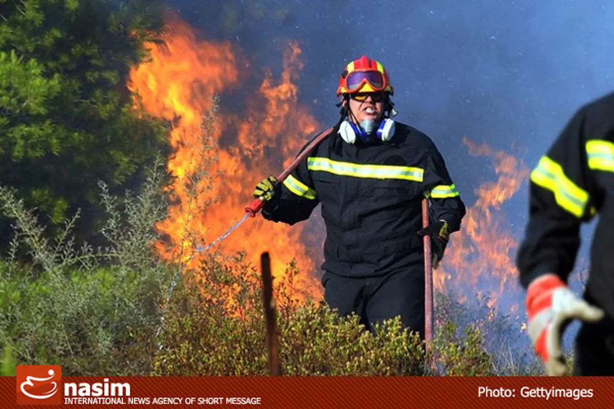 اخبار آرشیوی