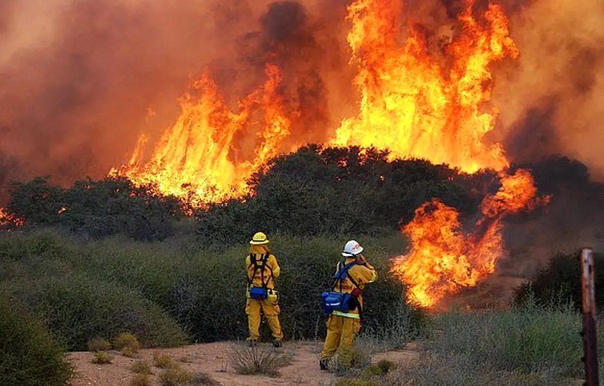 اخبار آرشیوی