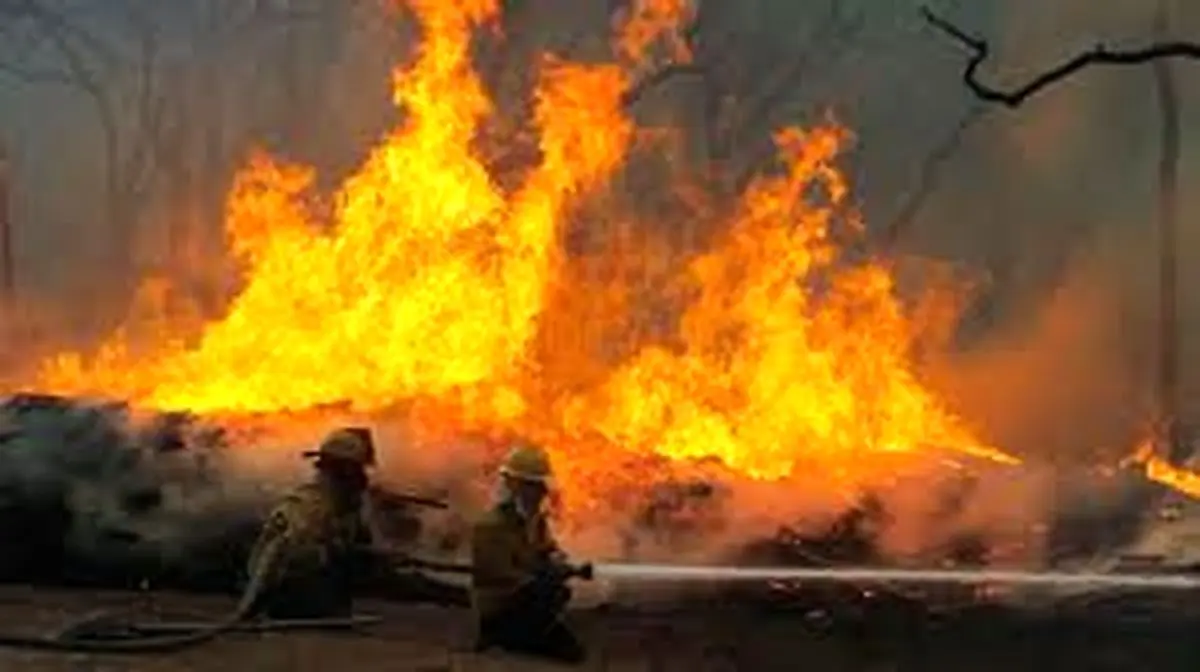 اخبار آرشیوی