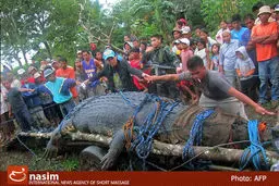 اخبار آرشیوی