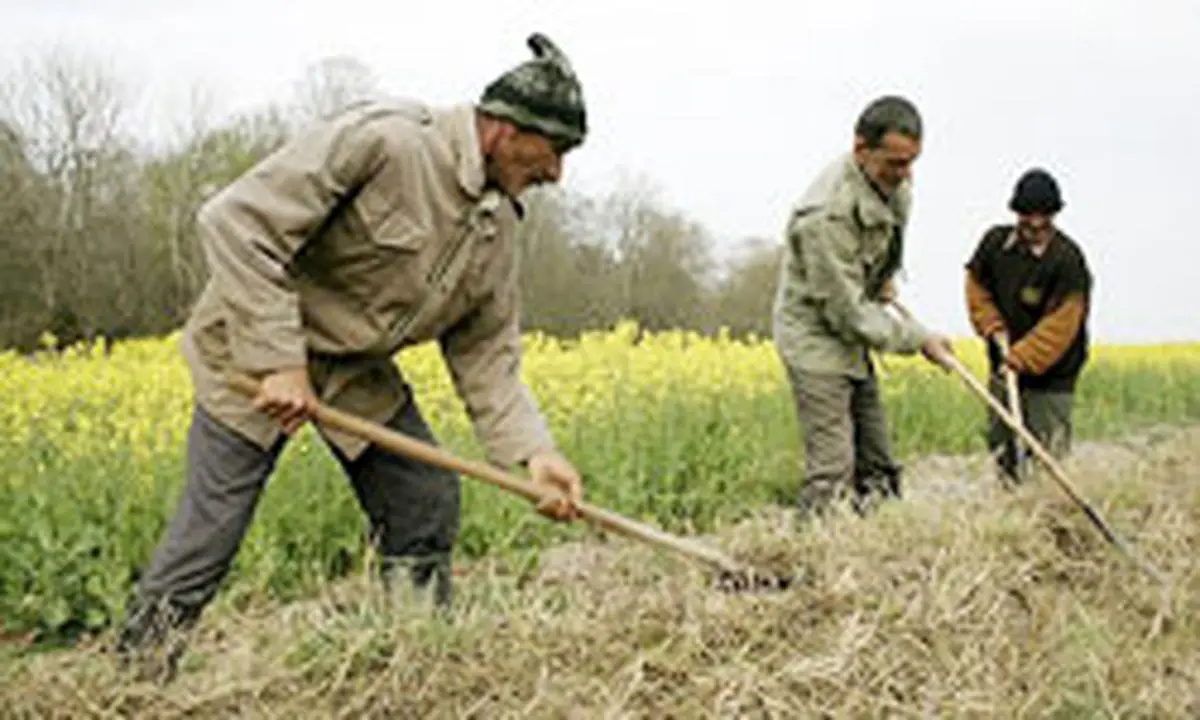 اخبار آرشیوی