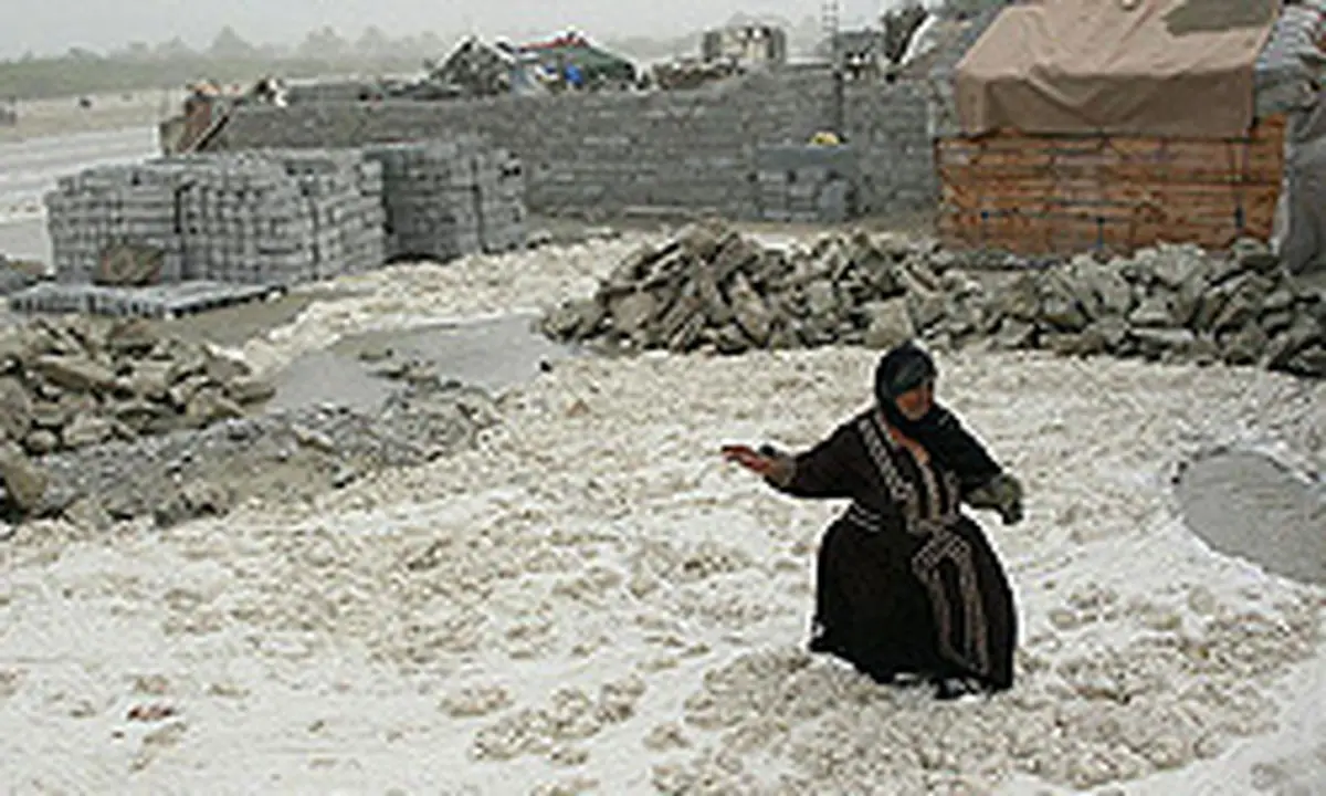 اخبار آرشیوی