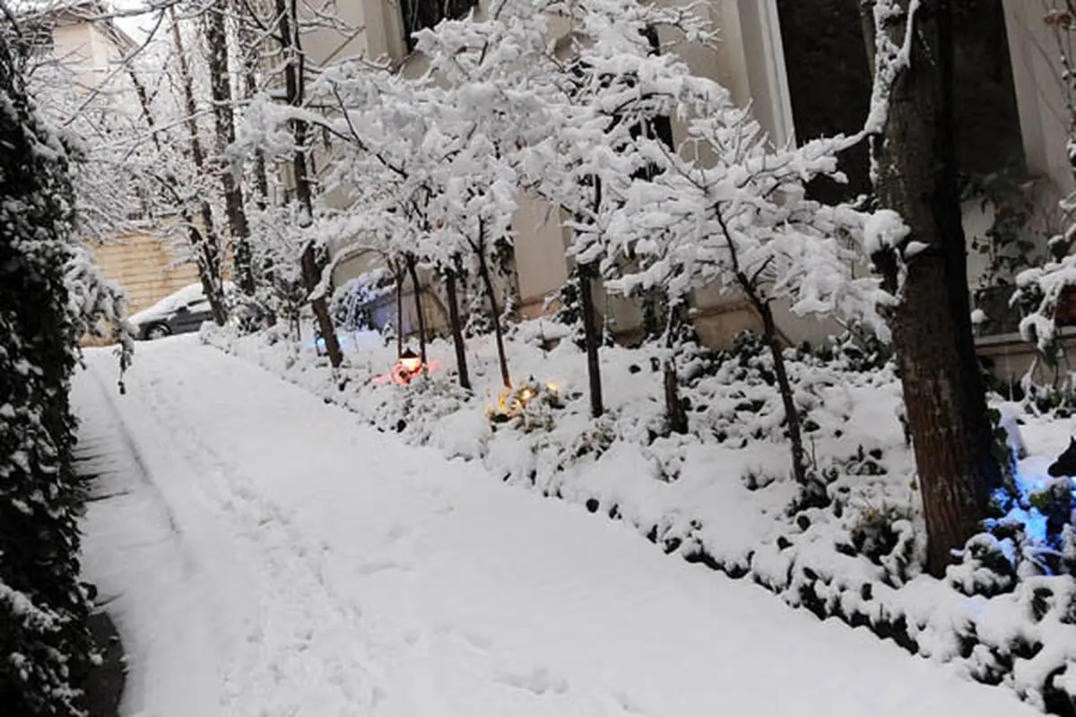 اخبار آرشیوی