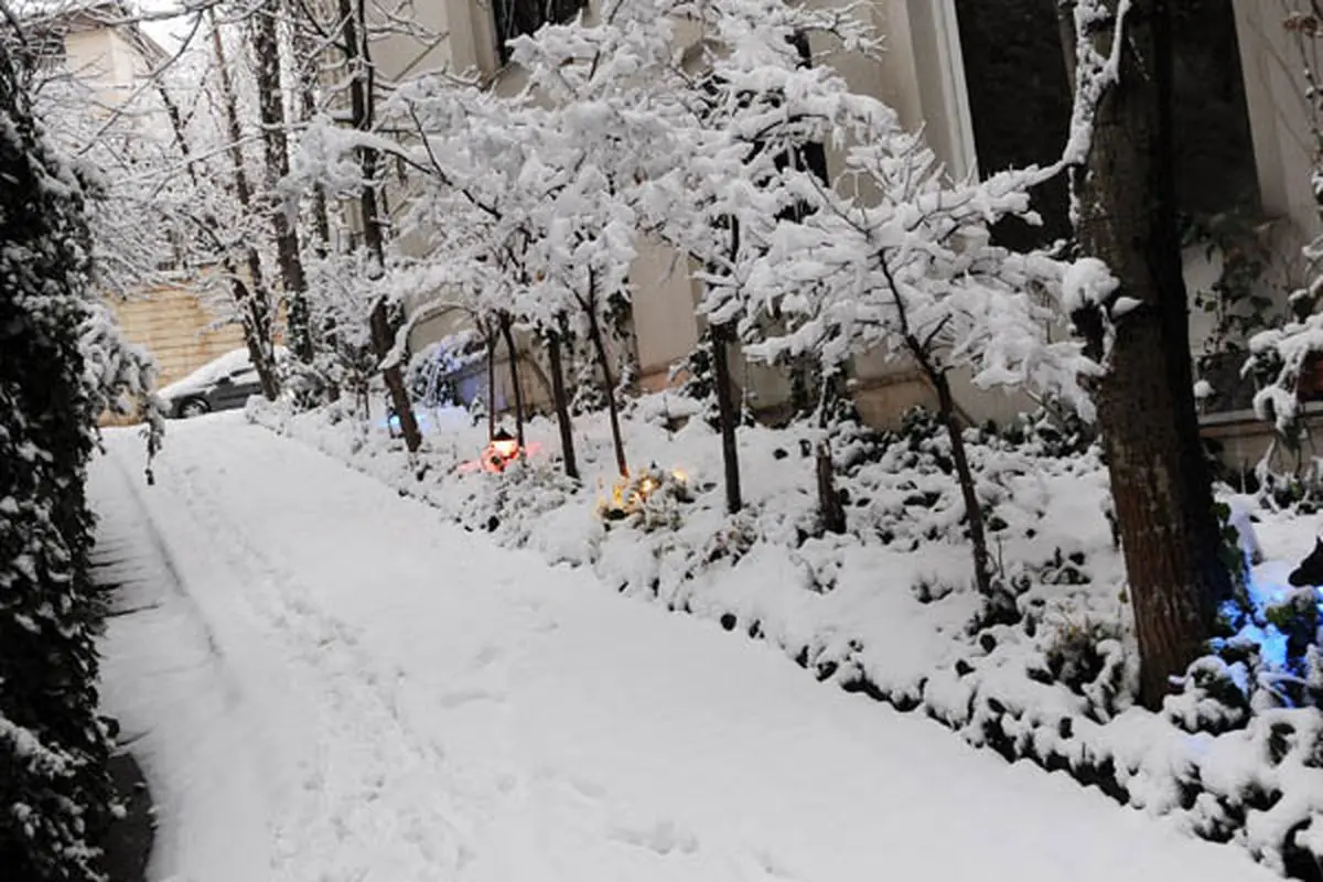 اخبار آرشیوی