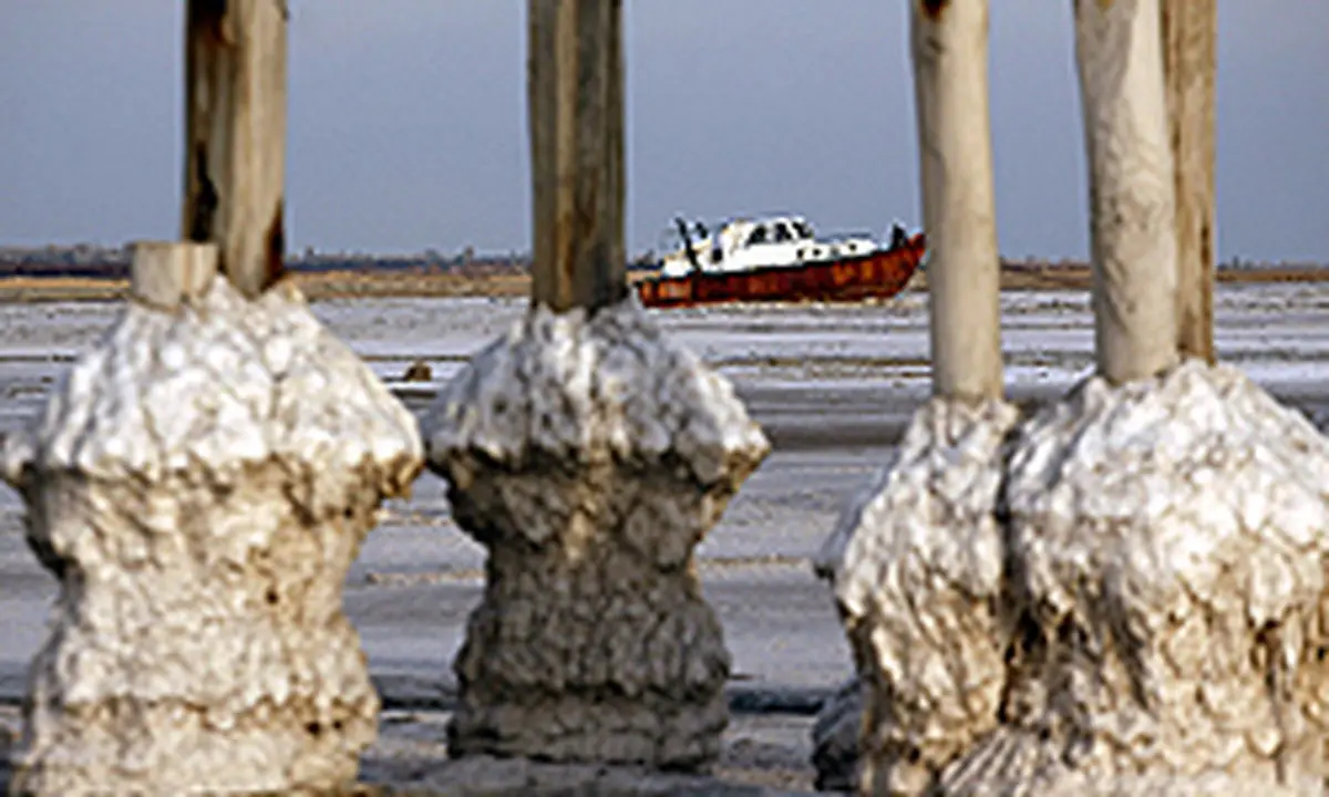 اخبار آرشیوی