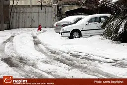 اخبار آرشیوی