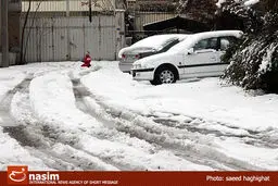 اخبار آرشیوی