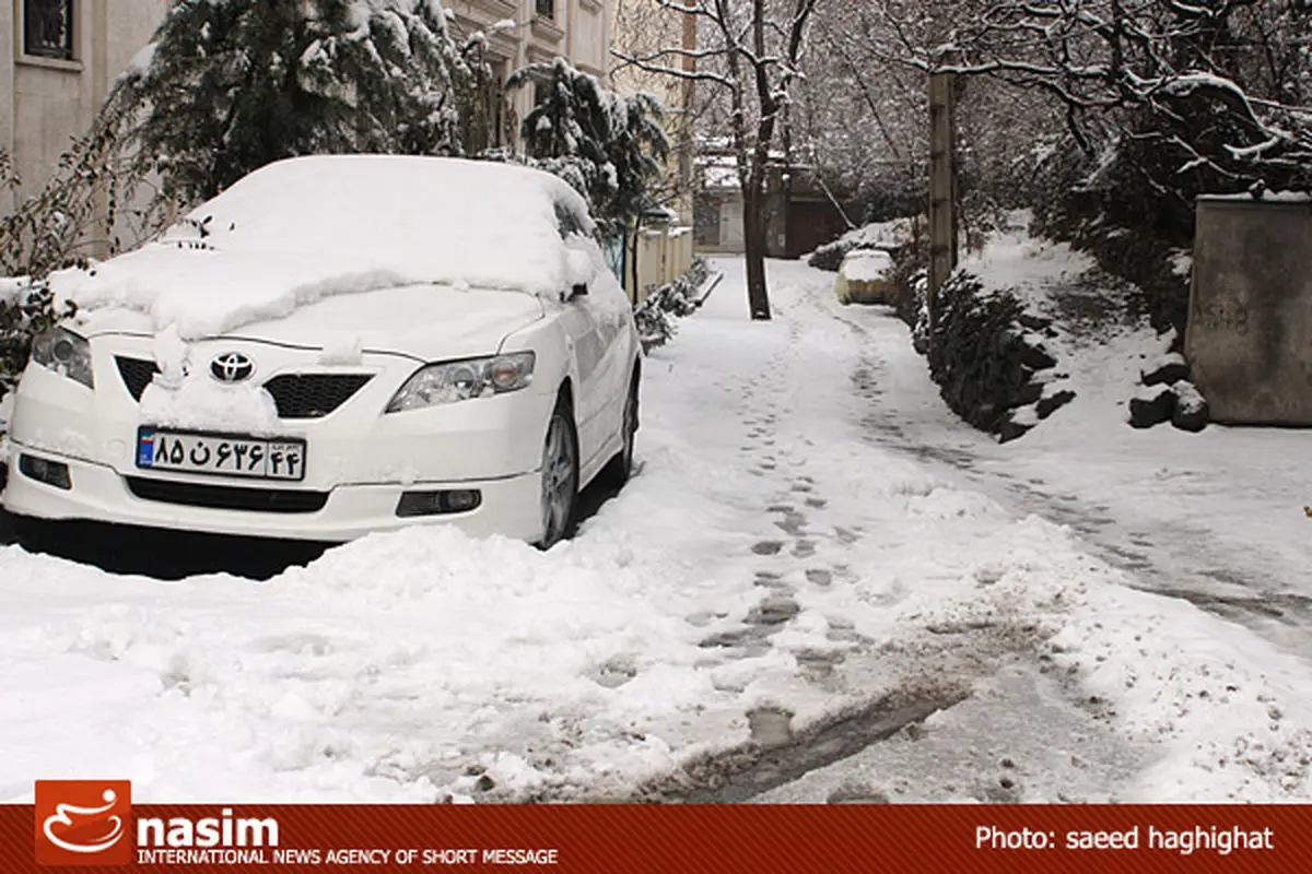 اخبار آرشیوی