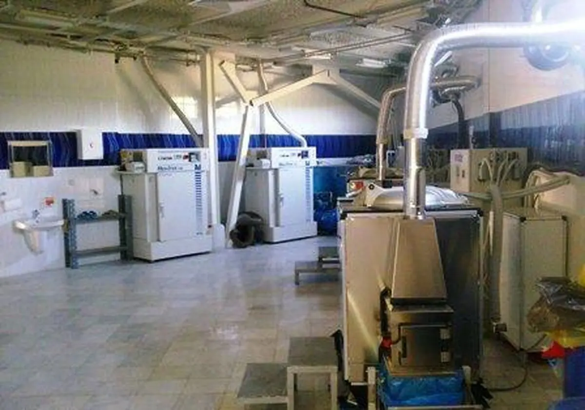 اخبار آرشیوی