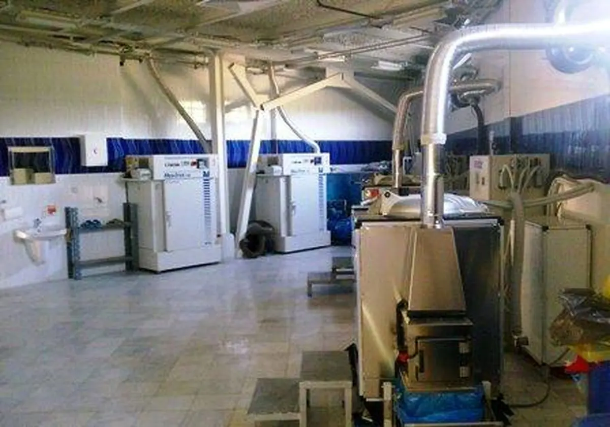 اخبار آرشیوی