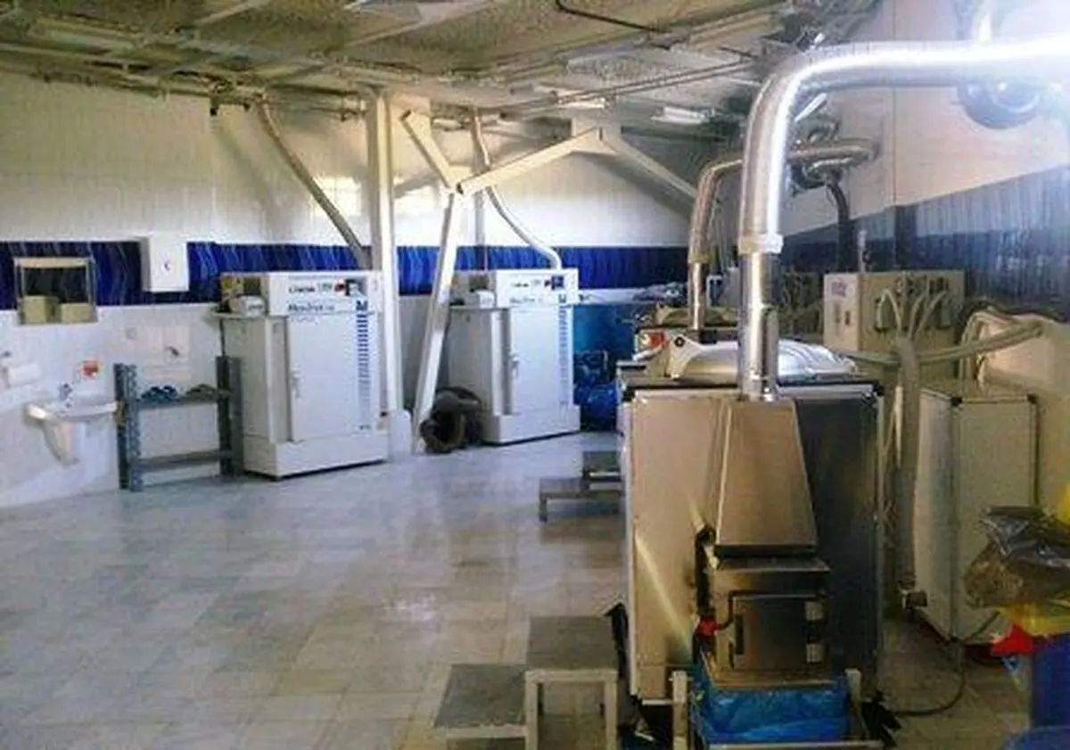 اخبار آرشیوی