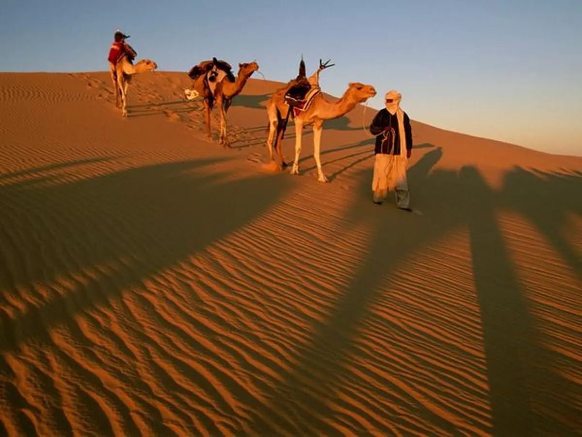 اخبار آرشیوی