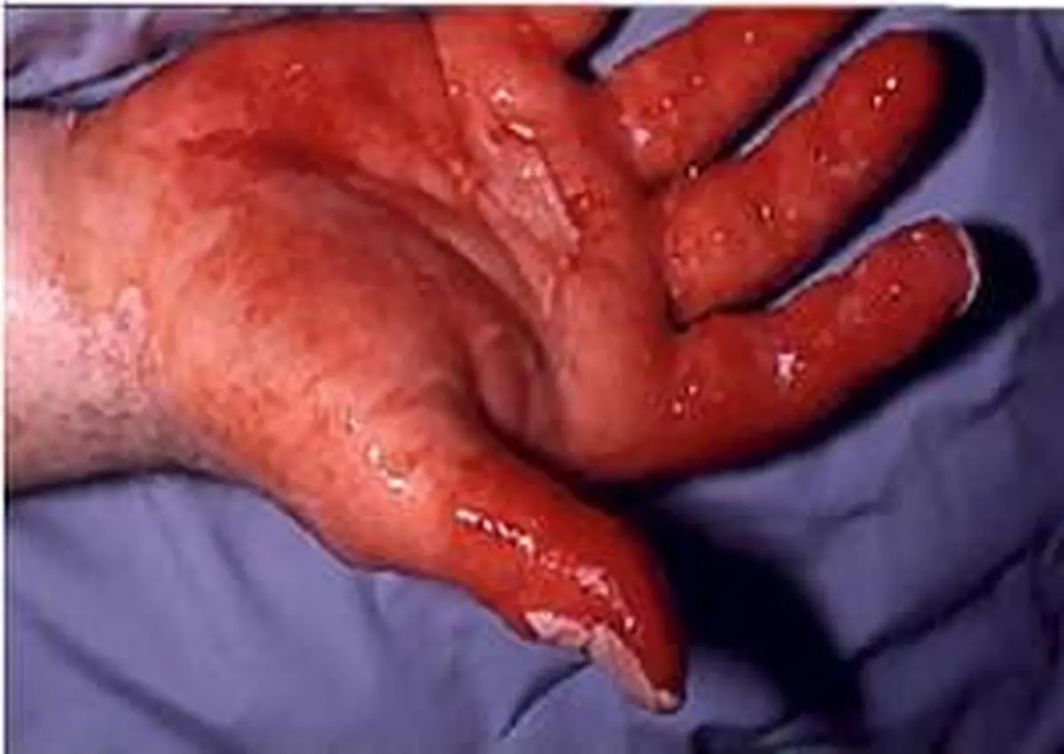 اخبار آرشیوی