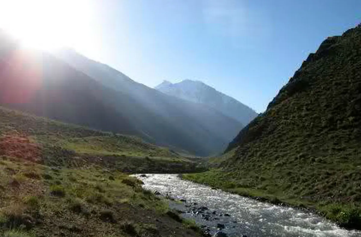 اخبار آرشیوی