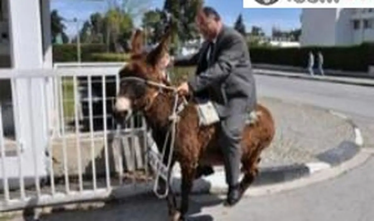 اخبار آرشیوی