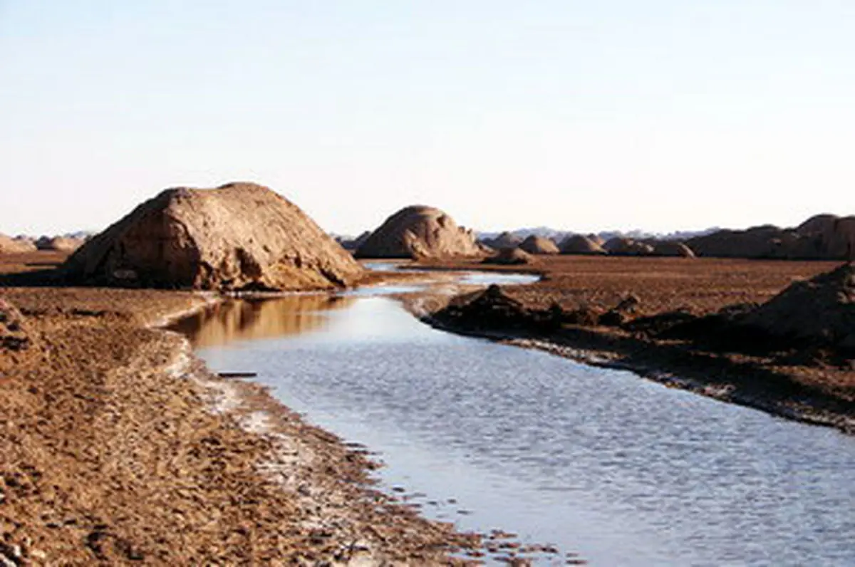 اخبار آرشیوی