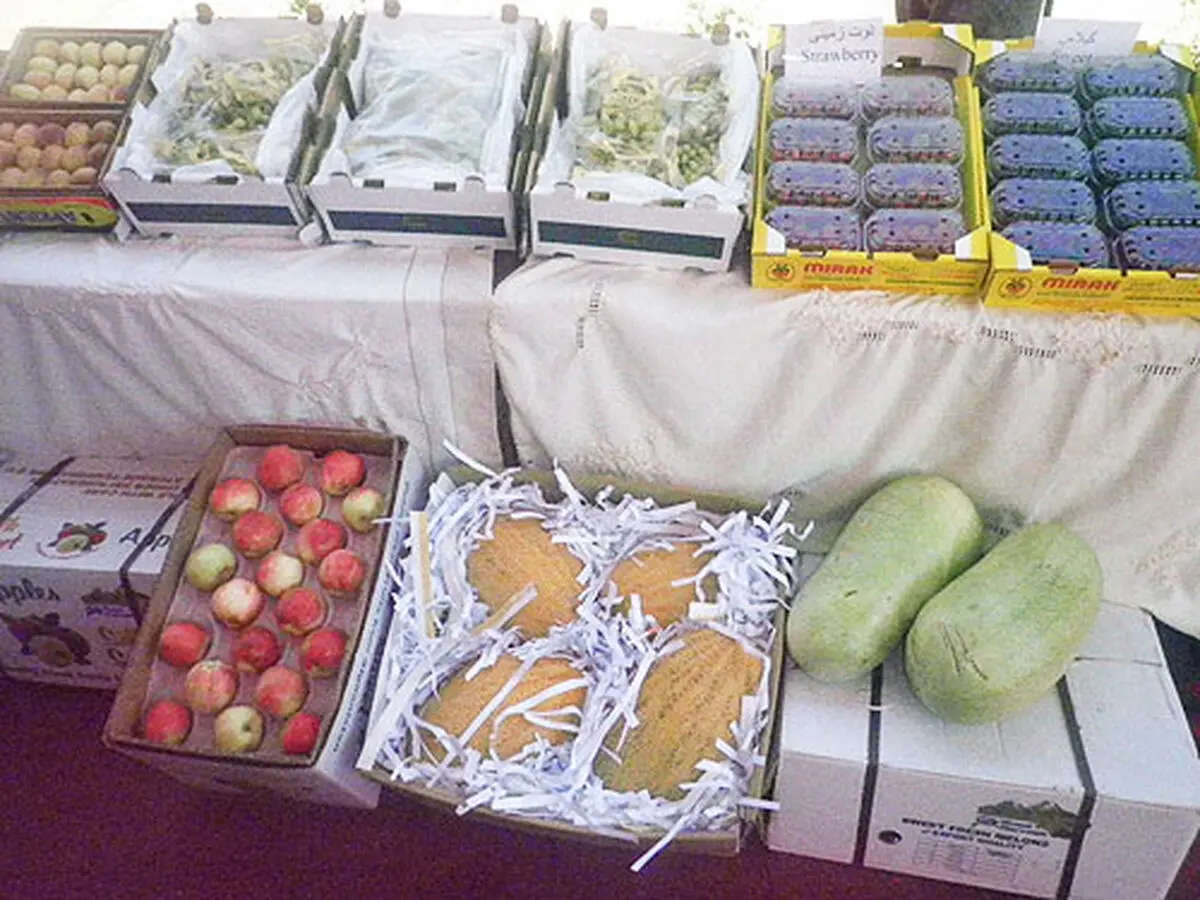 اخبار آرشیوی