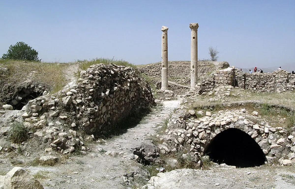 اخبار آرشیوی