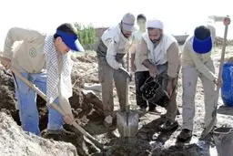 اخبار آرشیوی