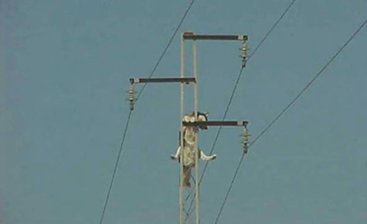 اخبار آرشیوی