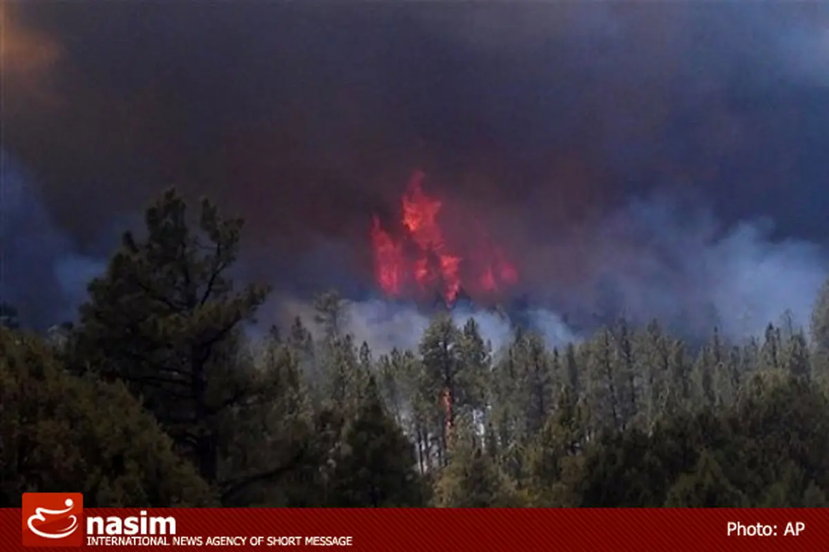 اخبار آرشیوی