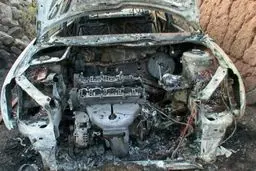 اخبار آرشیوی