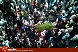 اخبار آرشیوی