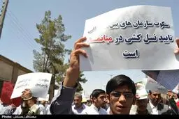 اخبار آرشیوی