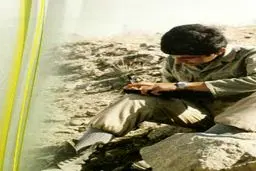 اخبار آرشیوی