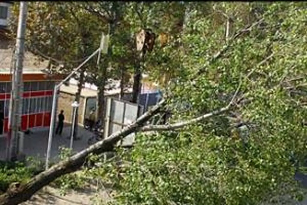 اخبار آرشیوی