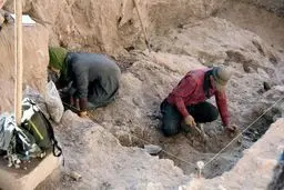 اخبار آرشیوی