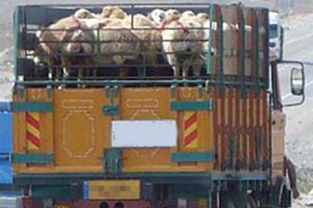 اخبار آرشیوی