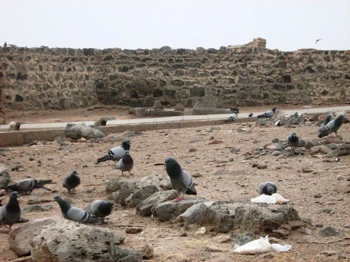 اخبار آرشیوی