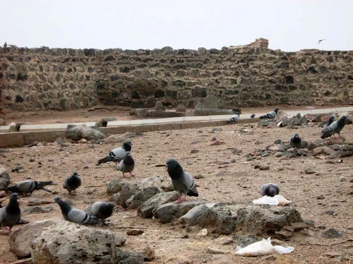 اخبار آرشیوی