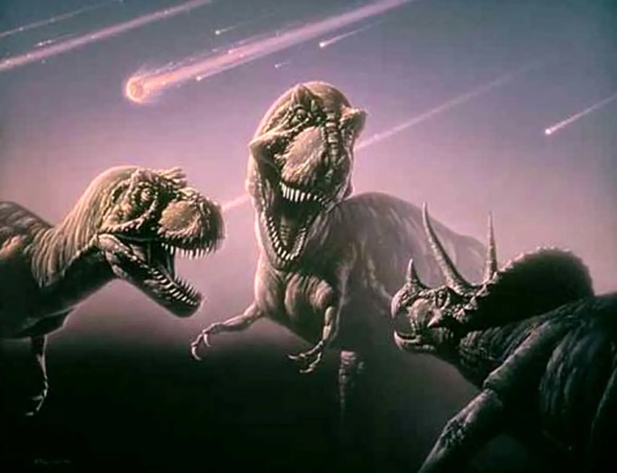 اخبار آرشیوی