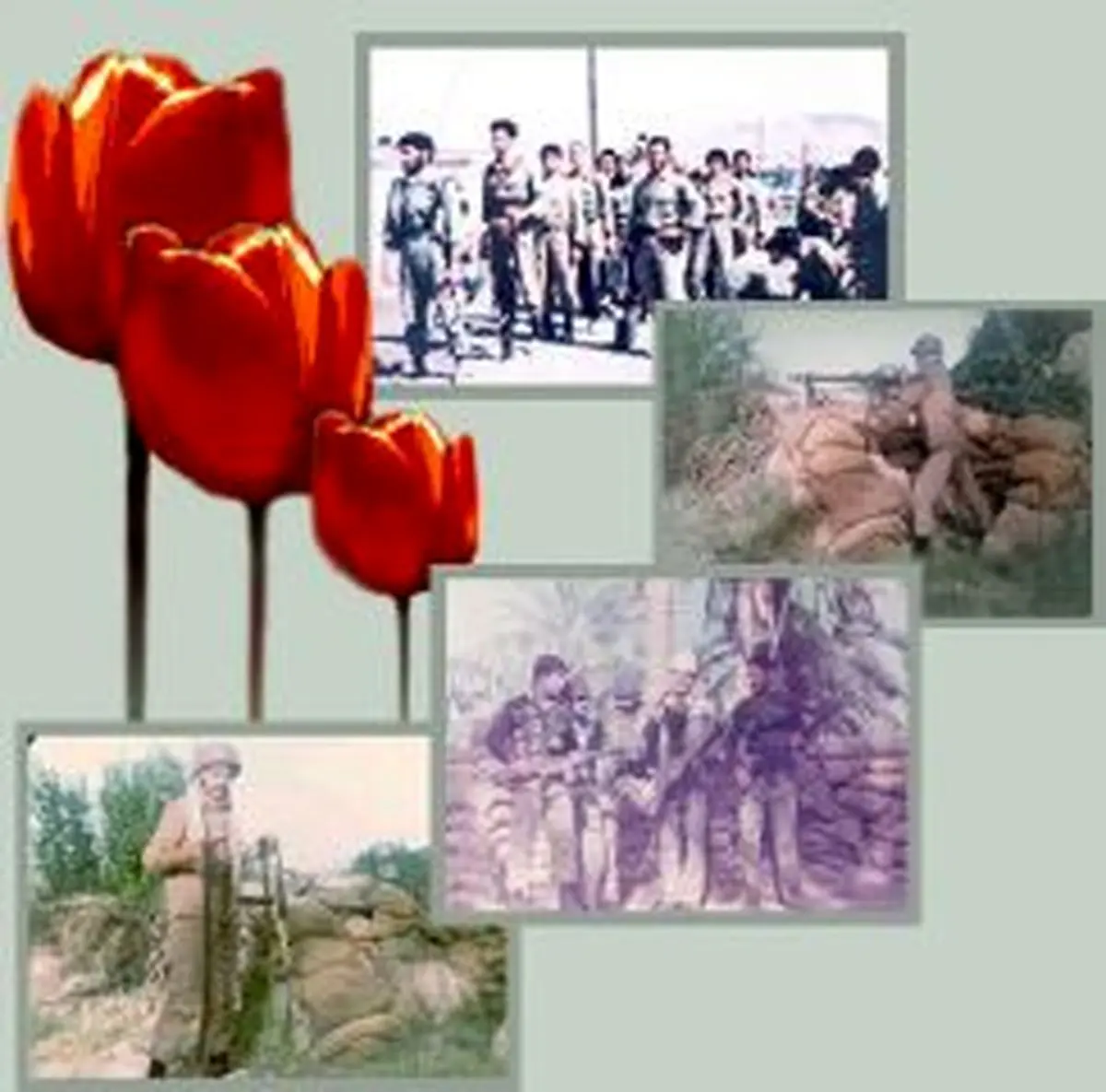 اخبار آرشیوی