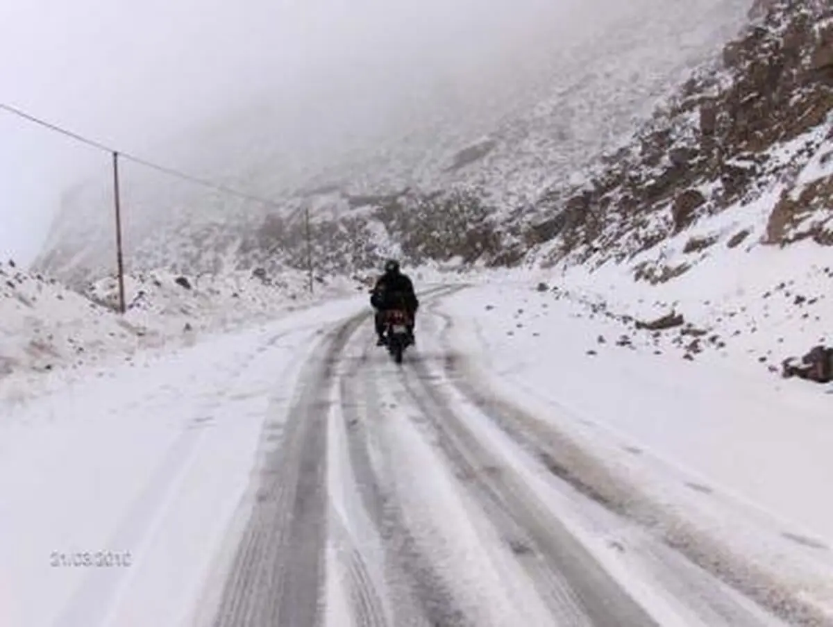 اخبار آرشیوی