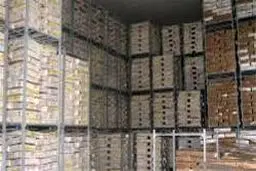 اخبار آرشیوی