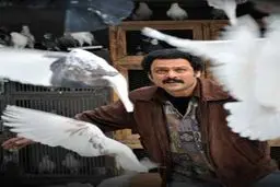 «پرنده‌باز» عطاالله سلمانیان از دیروز در شبکه نمایش خانگی عرضه شد