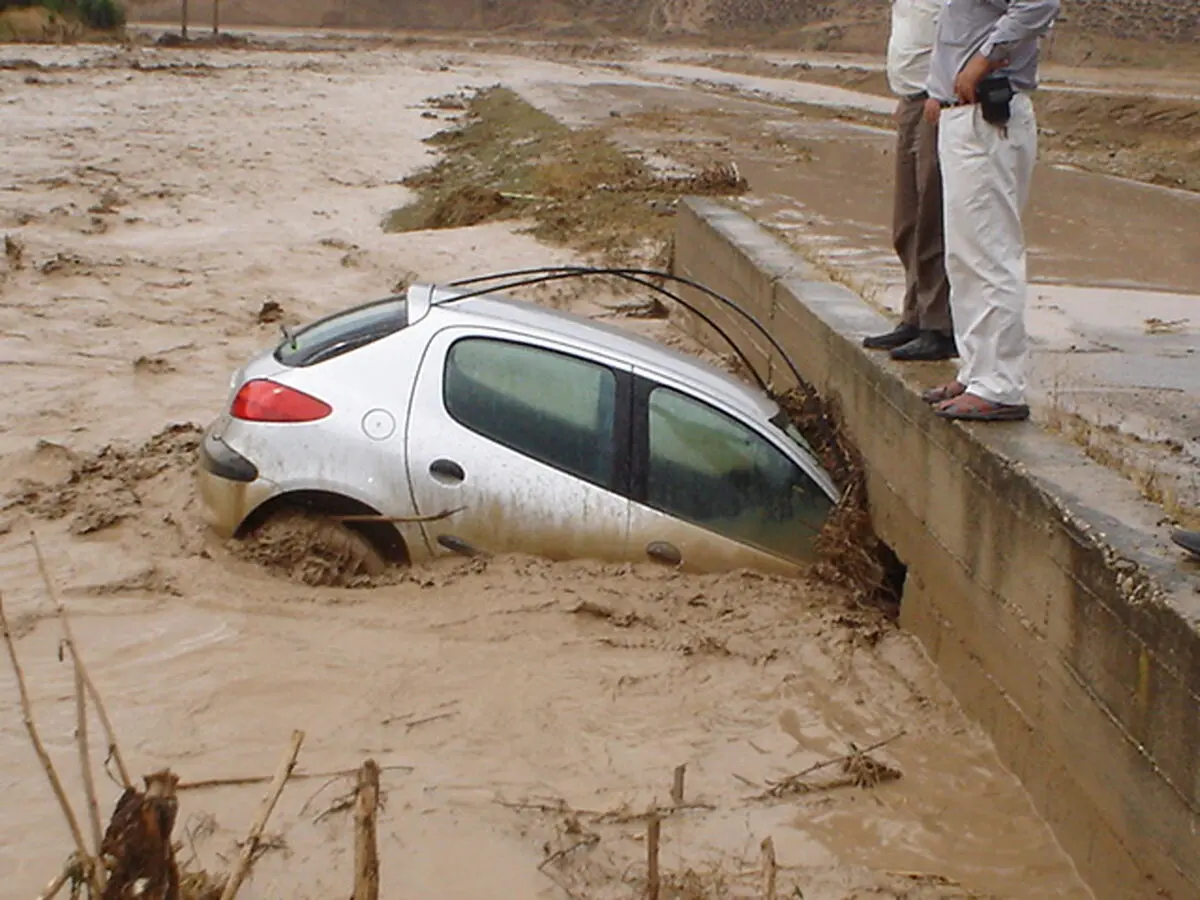 اخبار آرشیوی