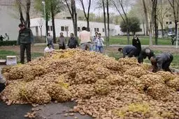 اخبار آرشیوی