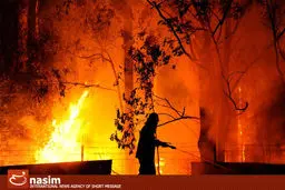 اخبار آرشیوی