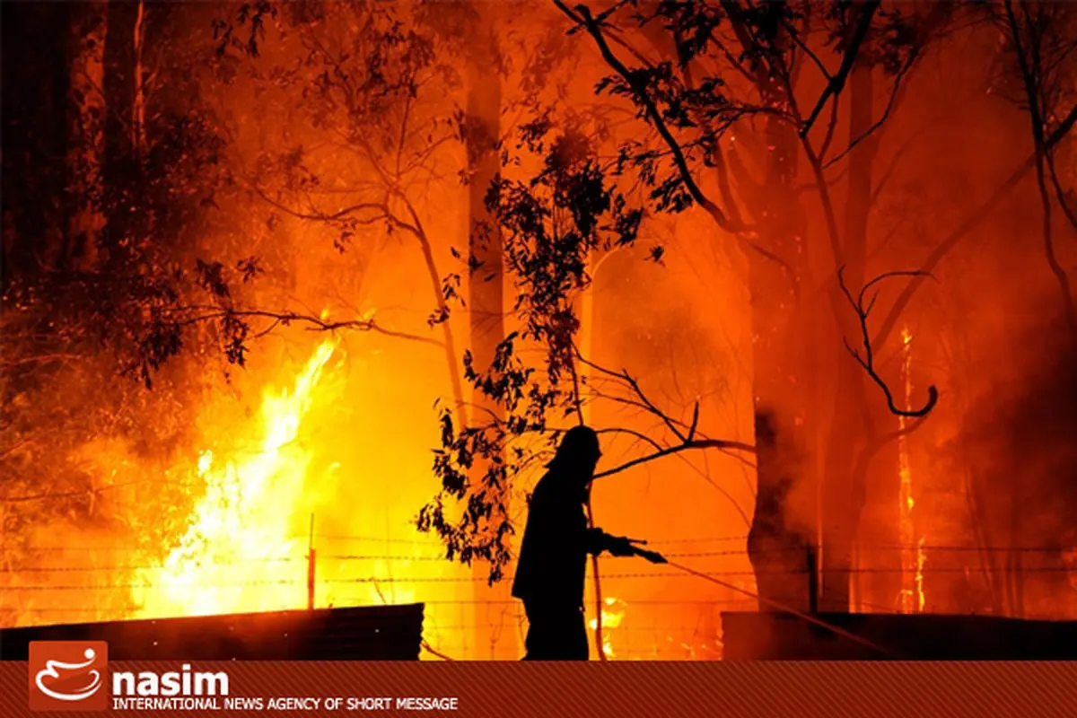 اخبار آرشیوی