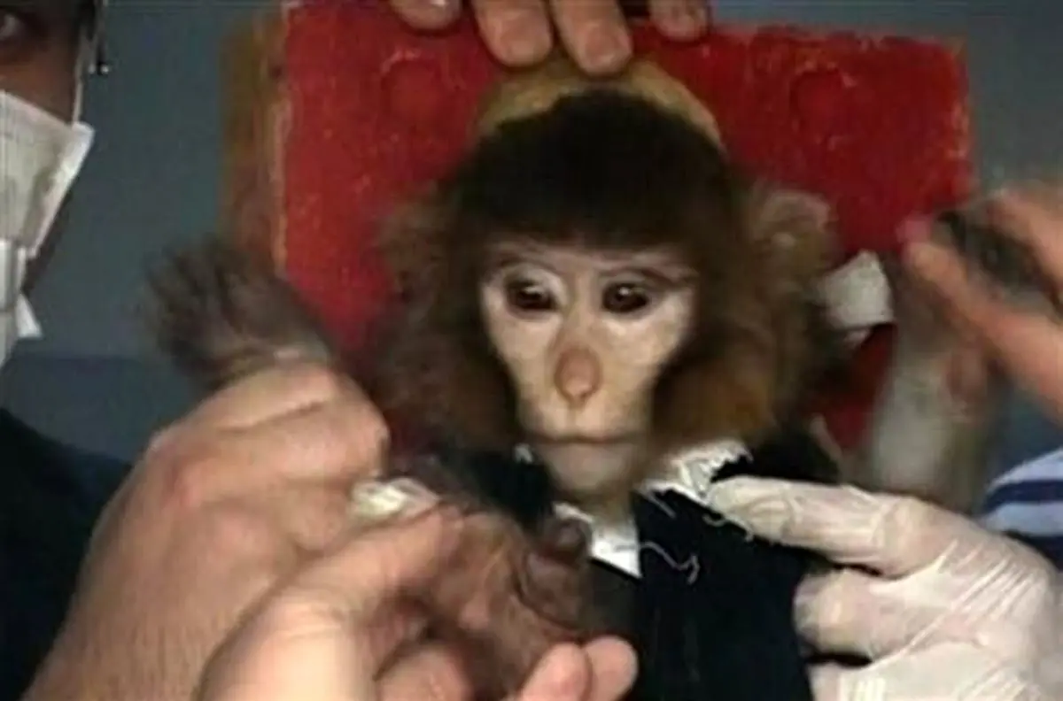 اخبار آرشیوی