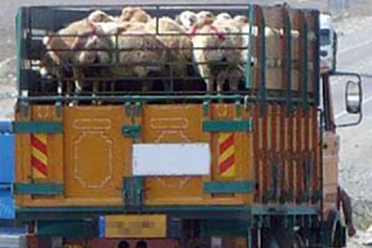 اخبار آرشیوی