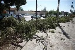 اخبار آرشیوی