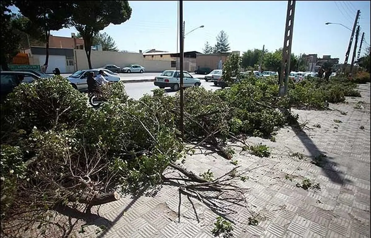 اخبار آرشیوی