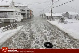 اخبار آرشیوی