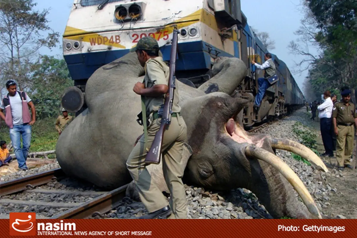 اخبار آرشیوی